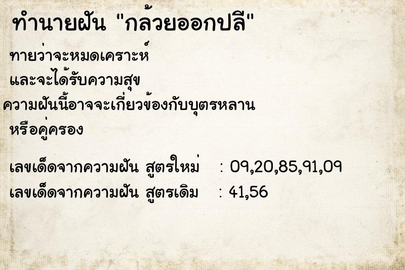 ทำนายฝันกล้วยออกปลี ทำนายฝันทำนายฝันกล้วยออกปลี