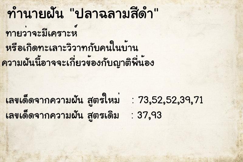 ทำนายฝัน ปลาฉลามสีดำ