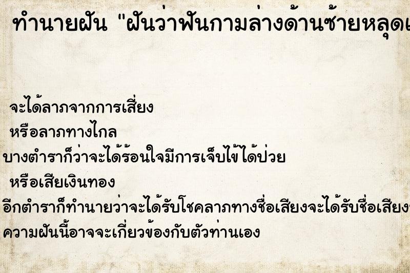 ทำนายฝัน ฝันว่าฟันกามล่างด้านซ้ายหลุดเลือดออกเต็มปาก ทำนายฝัน ฝันว่าฟันกามล่างด้านซ้ายหลุดเลือดออกเต็มปาก