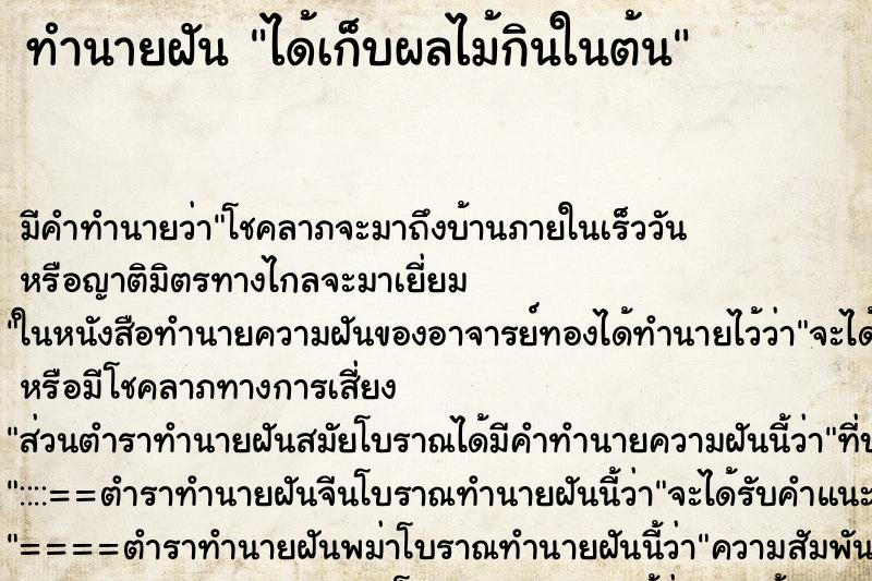 ทำนายฝัน ได้เก็บผลไม้กินในต้น ทำนายฝัน ได้เก็บผลไม้กินในต้น