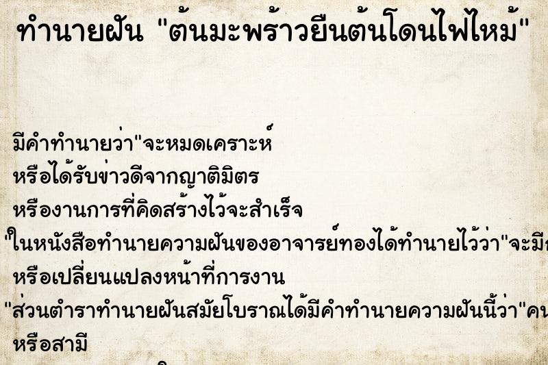 ทำนายฝัน ต้นมะพร้าวยืนต้นโดนไฟไหม้ ทำนายฝัน ต้นมะพร้าวยืนต้นโดนไฟไหม้