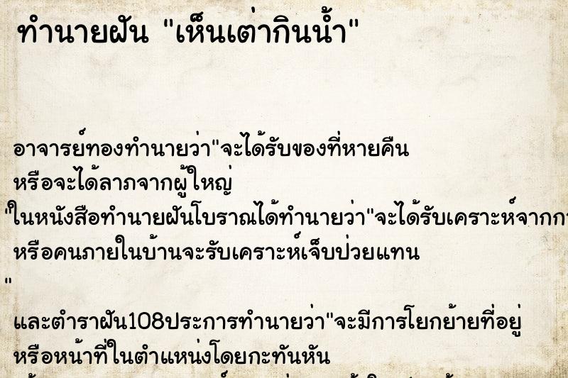 ทำนายฝัน เห็นเต่ากินน้ำ ทำนายฝัน เห็นเต่ากินน้ำ
