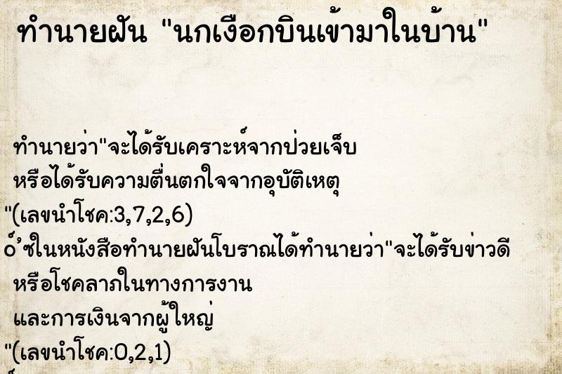 ทำนายฝัน นกเงือกบินเข้ามาในบ้าน ทำนายฝัน นกเงือกบินเข้ามาในบ้าน