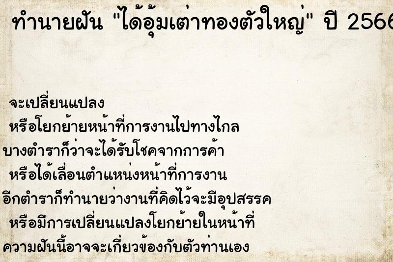 ทำนายฝัน ได้อุ้มเต่าทองตัวใหญ่