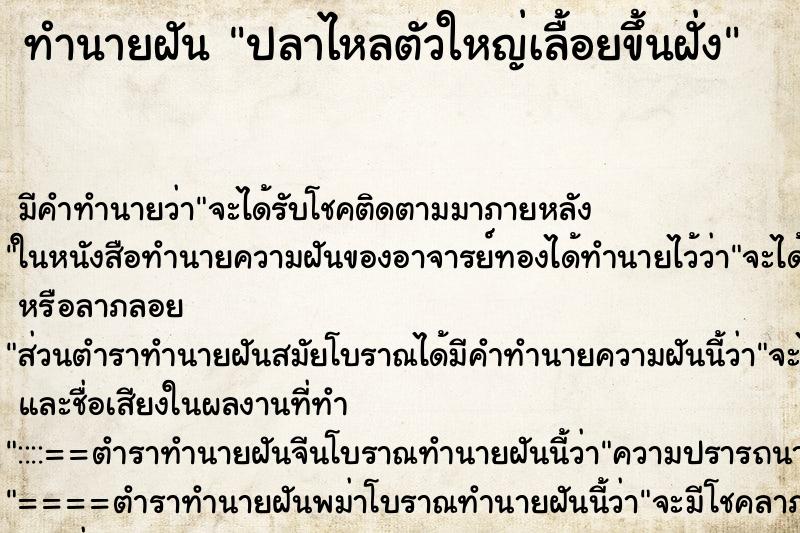 ทำนายฝัน ปลาไหลตัวใหญ่เลื้อยขึ้นฝั่ง ทำนายฝัน ปลาไหลตัวใหญ่เลื้อยขึ้นฝั่ง