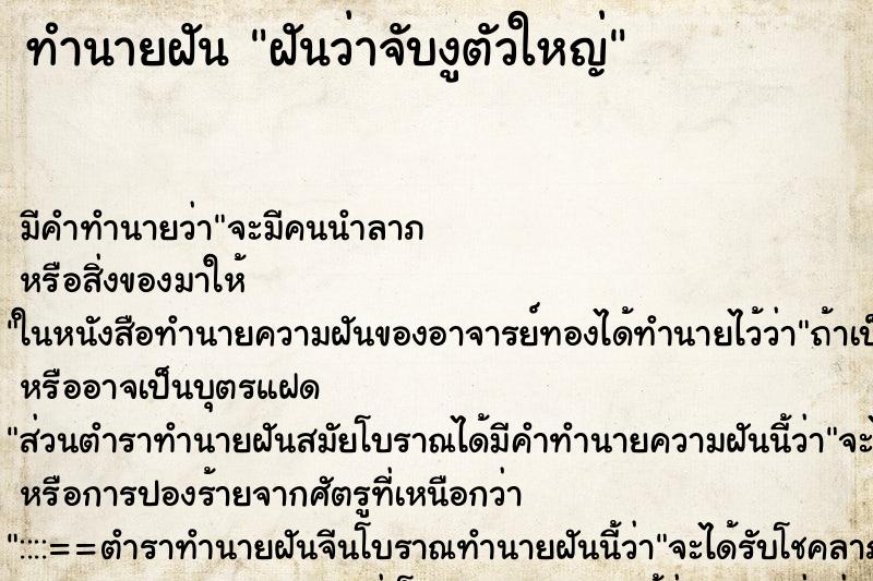 ทำนายฝัน ฝันว่าจับงูตัวใหญ่ ทำนายฝัน ฝันว่าจับงูตัวใหญ่