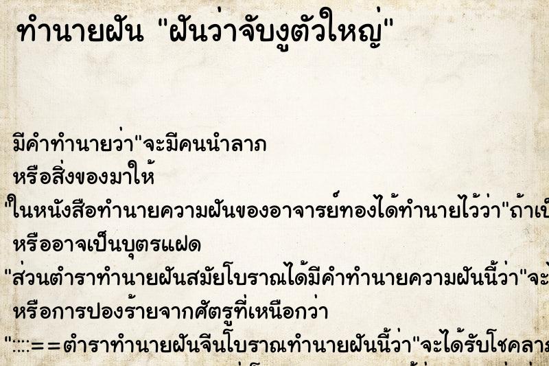 ทำนายฝัน ฝันว่าจับงูตัวใหญ่ ตำราโบราณ แม่นที่สุดในโลก