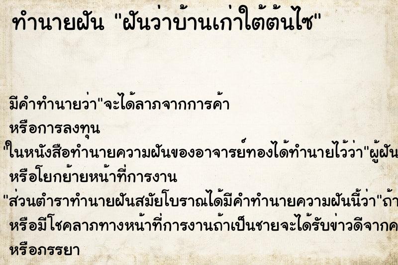 ทำนายฝันทำนายฝันฝันว่าบ้านเก่าใต้ต้นไซ