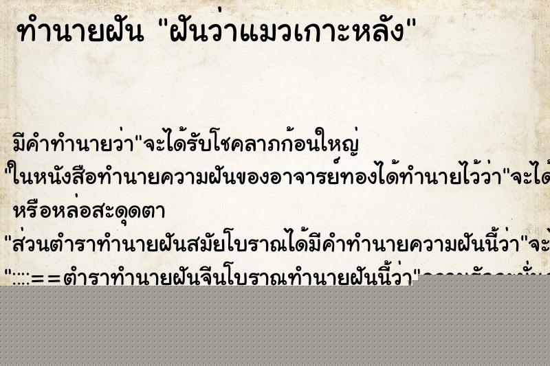 ทำนายฝัน ฝันว่าแมวเกาะหลัง ทำนายฝัน ฝันว่าแมวเกาะหลัง