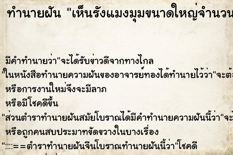 ทำนายฝัน เห็นรังแมงมุมขนาดใหญ่จำนวนมาก ทำนายฝัน เห็นรังแมงมุมขนาดใหญ่จำนวนมาก