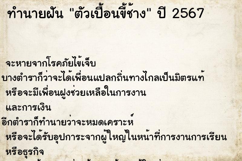 ทำนายฝันตัวเปื้อนขี้ช้าง ทำนายฝันทำนายฝันตัวเปื้อนขี้ช้าง