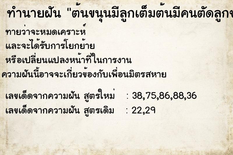 ทำนายฝัน ต้นขนุนมีลูกเต็มต้นมีคนตัดลูกขนุน