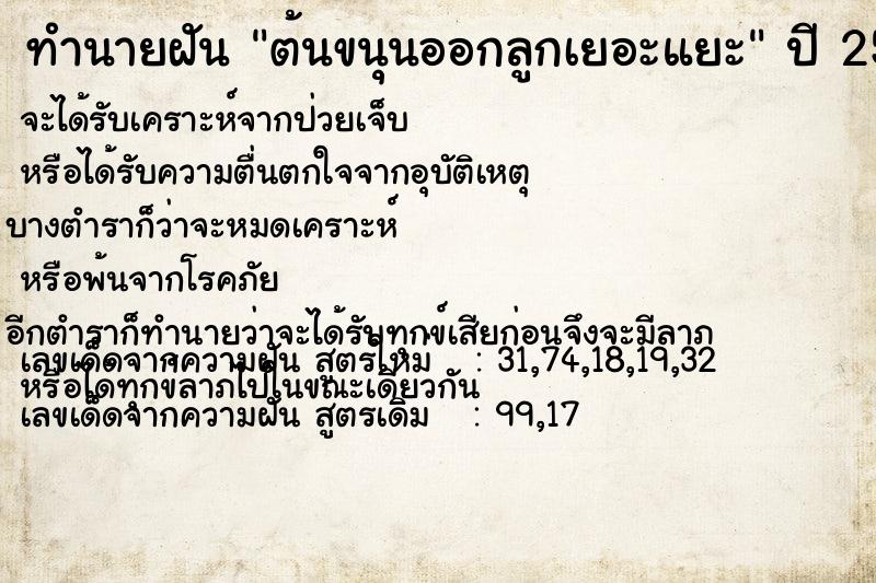 ทำนายฝันต้นขนุนออกลูกเยอะแยะ ทำนายฝันทำนายฝันต้นขนุนออกลูกเยอะแยะ