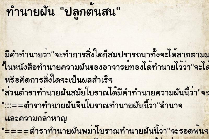 ทำนายฝันทำนายฝันปลูกต้นสน