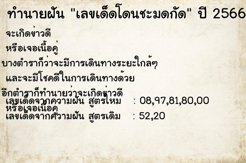 ทำนายฝันทำนายฝันเลขเด็ดโดนชะมดกัด