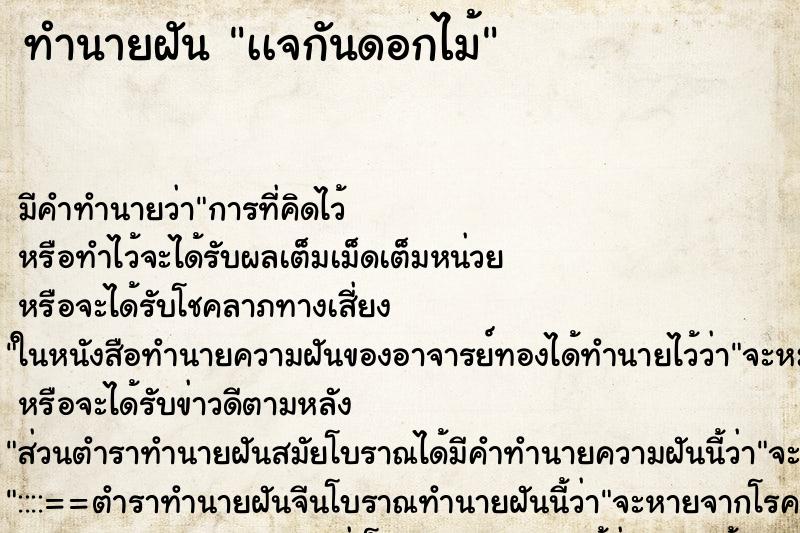 ทำนายฝันเเจกันดอกไม้ ทำนายฝันทำนายฝันเเจกันดอกไม้