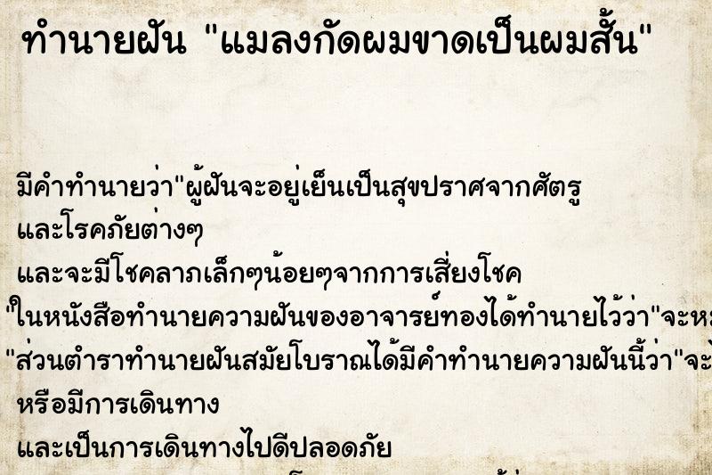 ทำนายฝัน แมลงกัดผมขาดเป็นผมสั้น ทำนายฝัน แมลงกัดผมขาดเป็นผมสั้น