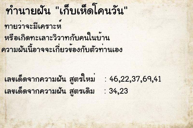 ทำนายฝันทำนายฝันเก็บเห็ดโคนวัน