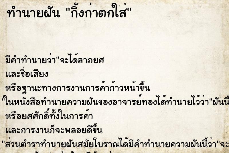 ทำนายฝันกิ้งก่าตกใส่ ทำนายฝันทำนายฝันกิ้งก่าตกใส่