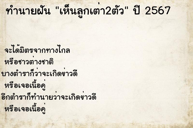 ทำนายฝันเห็นลูกเต่า2ตัว ทำนายฝันทำนายฝันเห็นลูกเต่า2ตัว