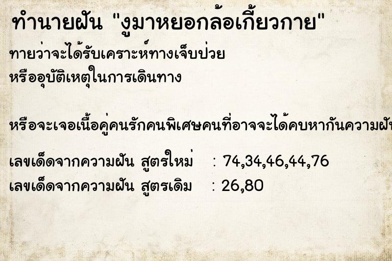 ทำนายฝัน งูมาหยอกล้อเกี้ยวกาย ทำนายฝัน งูมาหยอกล้อเกี้ยวกาย