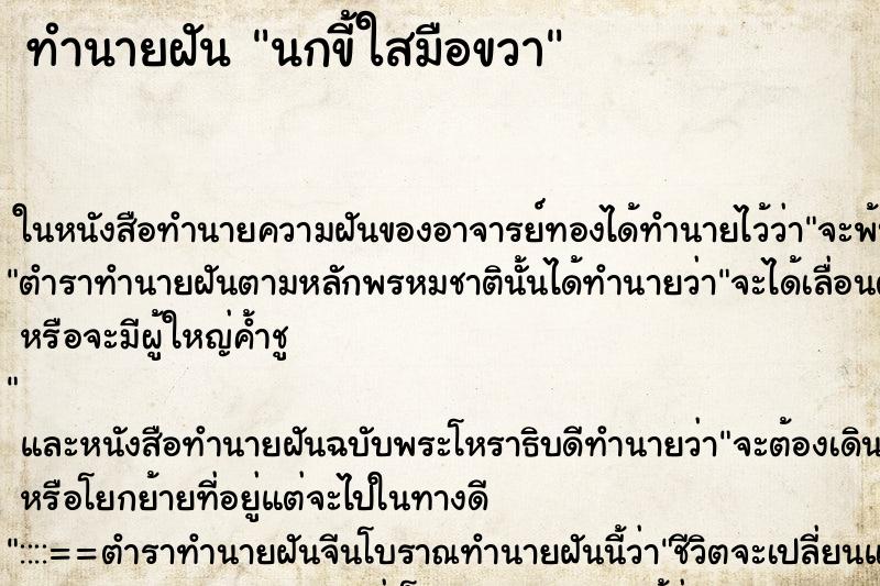 ทำนายฝัน นกขี้ใสมือขวา ทำนายฝัน นกขี้ใสมือขวา