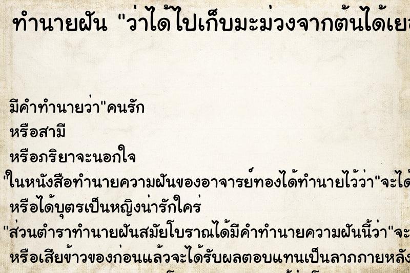 ทำนายฝัน ว่าได้ไปเก็บมะม่วงจากต้นได้เยอะมาก ทำนายฝัน ว่าได้ไปเก็บมะม่วงจากต้นได้เยอะมาก