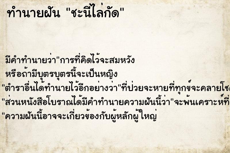 ทำนายฝันชะนีไล่กัด ทำนายฝันทำนายฝันชะนีไล่กัด