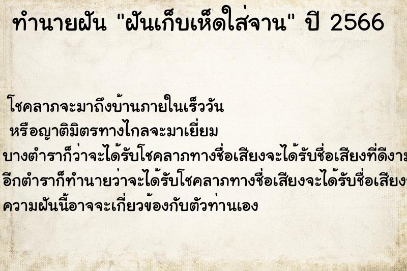 ทำนายฝันฝันเก็บเห็ดใส่จาน ทำนายฝันทำนายฝันฝันเก็บเห็ดใส่จาน