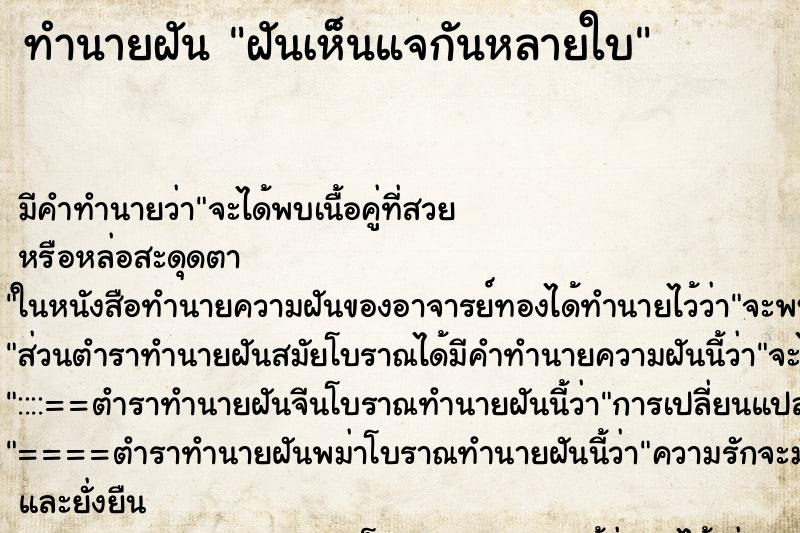 ทำนายฝัน ฝันเห็นแจกันหลายใบ ทำนายฝัน ฝันเห็นแจกันหลายใบ
