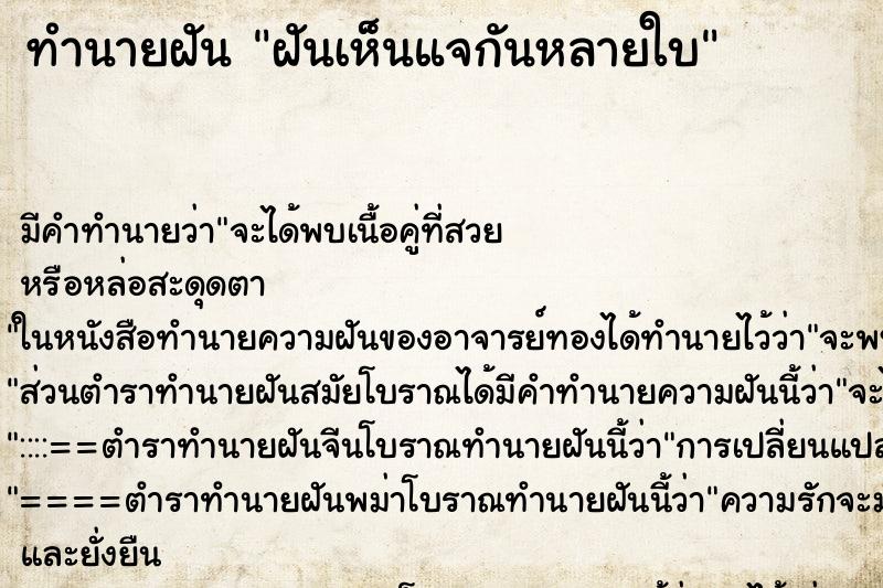 ทำนายฝัน ฝันเห็นแจกันหลายใบ ตำราโบราณ แม่นที่สุดในโลก