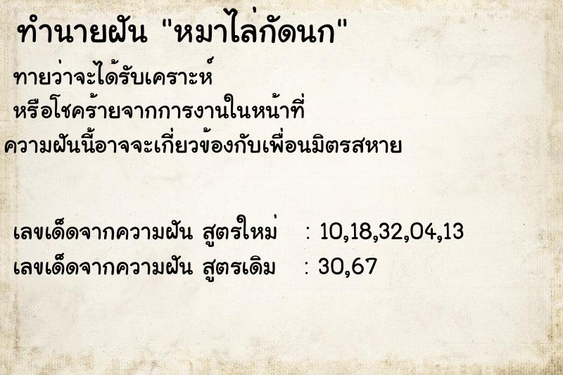 ทำนายฝันหมาไล่กัดนก ทำนายฝันทำนายฝันหมาไล่กัดนก