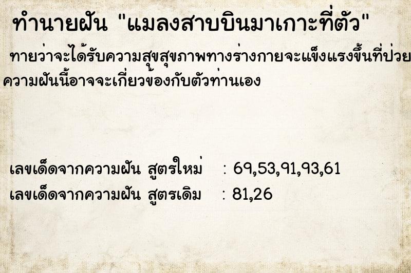 ทำนายฝันทำนายฝันแมลงสาบบินมาเกาะที่ตัว