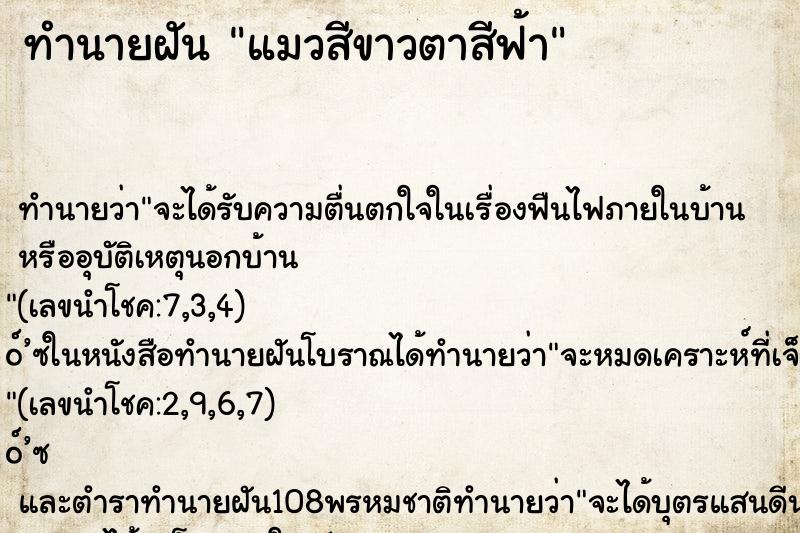 ทำนายฝัน แมวสีขาวตาสีฟ้า ทำนายฝัน แมวสีขาวตาสีฟ้า