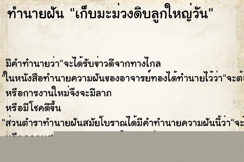 ทำนายฝัน เก็บมะม่วงดิบลูกใหญ่วัน