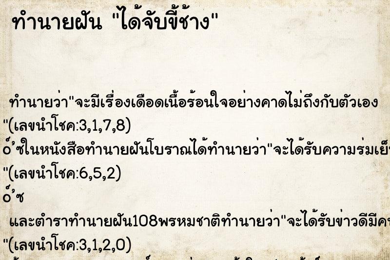 ทำนายฝันได้จับขี้ช้าง ทำนายฝันทำนายฝันได้จับขี้ช้าง