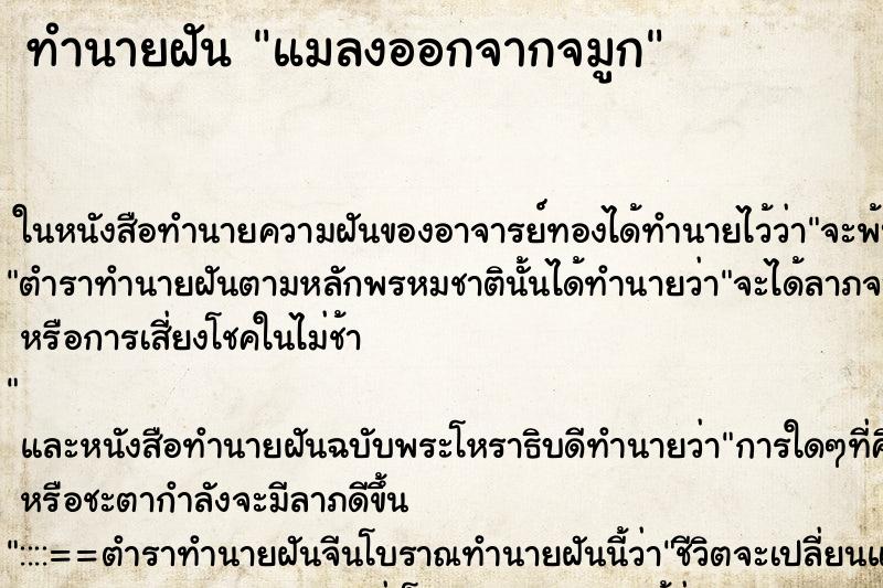 ทำนายฝัน แมลงออกจากจมูก ทำนายฝัน แมลงออกจากจมูก