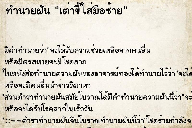 ทำนายฝัน เต่าขี้ใส่มือซ้าย