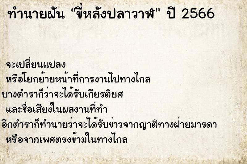 ทำนายฝัน ขี่หลังปลาวาฬ แม่นๆ ฟรี ด้วยตำราหนังสือทำนายฝันโบราณ ทำนายฝันขี่หลังปลาวาฬ