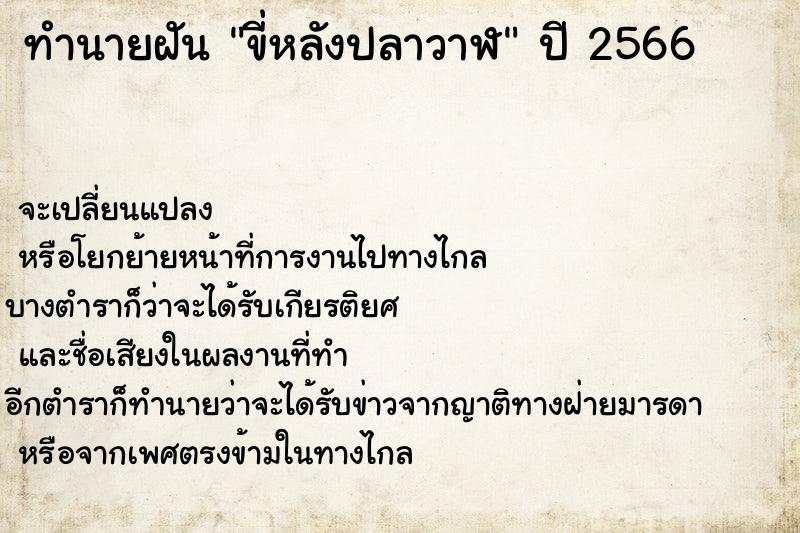 ทำนายฝัน ขี่หลังปลาวาฬ ตำราโบราณ แม่นที่สุดในโลก