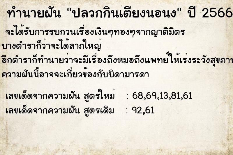 ทำนายฝัน ปลวกกินเตียงนอนง ทำนายฝัน ปลวกกินเตียงนอนง