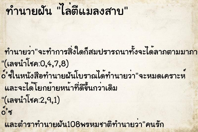 ทำนายฝัน ไล่ตีแมลงสาบ ทำนายฝัน ไล่ตีแมลงสาบ