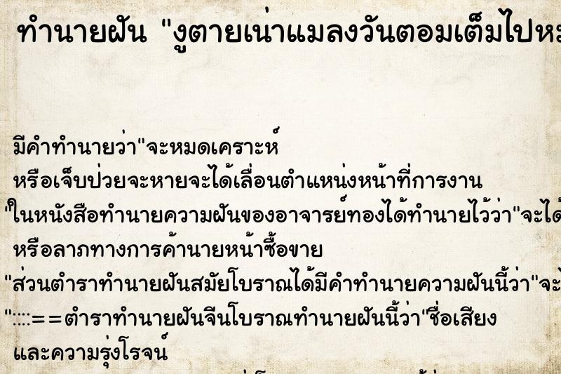 ทำนายฝัน งูตายเน่าแมลงวันตอมเต็มไปหมด