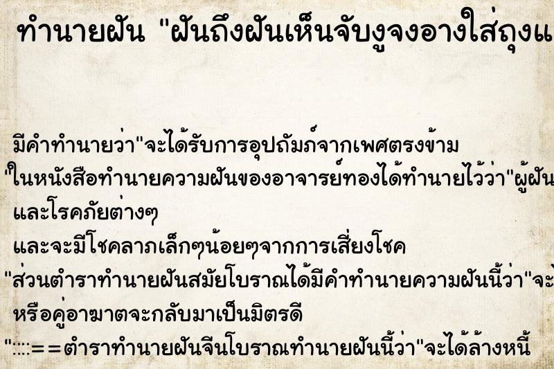 ทำนายฝัน ฝันถึงฝันเห็นจับงูจงอางใส่ถุงแล้วมัดปาก ทำนายฝัน ฝันถึงฝันเห็นจับงูจงอางใส่ถุงแล้วมัดปาก