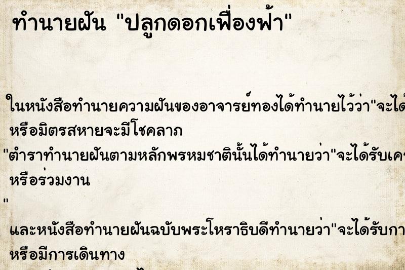 ทำนายฝัน ปลูกดอกเฟื่องฟ้า ทำนายฝัน ปลูกดอกเฟื่องฟ้า