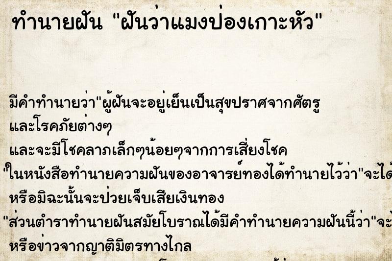 ทำนายฝัน ฝันว่าแมงป่องเกาะหัว ตำราโบราณ แม่นที่สุดในโลก