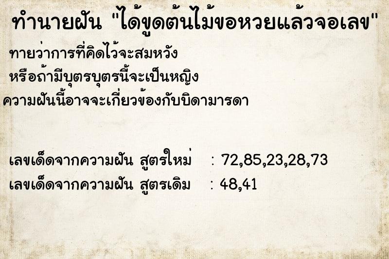 ทำนายฝัน ได้ขูดต้นไม้ขอหวยแล้วจอเลข ทำนายฝัน ได้ขูดต้นไม้ขอหวยแล้วจอเลข