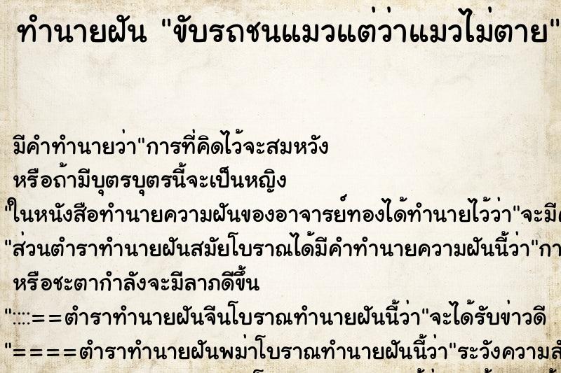 ทำนายฝัน ขับรถชนแมวแต่ว่าแมวไม่ตาย ทำนายฝัน ขับรถชนแมวแต่ว่าแมวไม่ตาย
