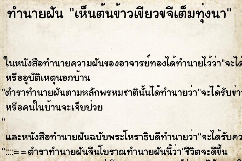 ทำนายฝัน เห็นต้นข้าวเขียวขจีเต็มทุ่งนา ทำนายฝัน เห็นต้นข้าวเขียวขจีเต็มทุ่งนา