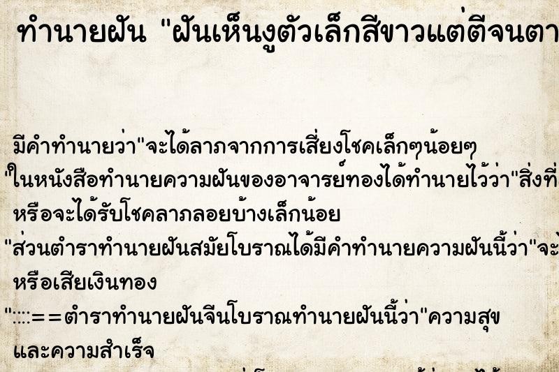 ทำนายฝันฝันเห็นงูตัวเล็กสีขาวแต่ตีจนตาย ทำนายฝันทำนายฝันฝันเห็นงูตัวเล็กสีขาวแต่ตีจนตาย